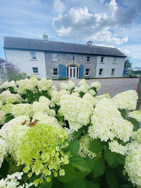 The Granary, Luxuriously Restored Barn On A Farm Villa Thurles Bagian luar foto